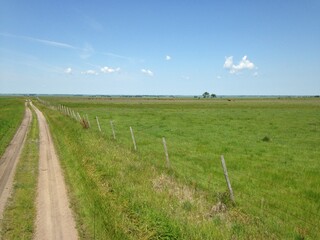 Fototapeta premium A two-track dirt road runs through native prairie pasture under a big blue sky.