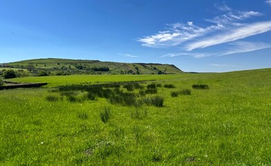 A lush green meadow, stretches towards rolling hills under a bright blue sky, dotted with a few white clouds near, Helmshore, Lancashire, UK - Powered by Adobe