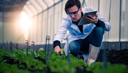 Portrait of handsome agricultural researcher holding tablet while working on research at plantation...