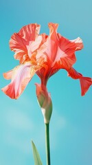 Vibrant iris flowers against a clear blue sky, showcasing natural beauty.