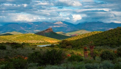 Bitter aloes frame a late afternoon Klein Karoo landscape located in avalley beneath the Kammanassie mountainx near De Rust.