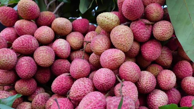 Closeup views of Red ripe  lychee fruit. Red ripe litchis are arranged for sale in the market.