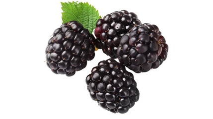 Blackberry fruit