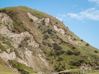 Landslips on coastal hillside