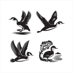 Obraz premium Australasian Grebe silhouette vector icon graphic logo ai generated design