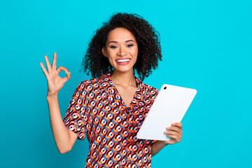 Photo of satisfied adorable woman with perming coiffure dressed blouse holding tablet show okey...