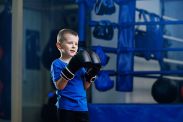 Portrait boxer boy in black boxing gloves is training in ring sport gym for kid.