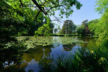 The lake of  Gravelle in the Vincennes wood
