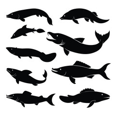 Set of Bowfin animal black silhouettes vector on white background