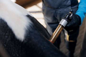 Woman veterinarian gives injection syringe to cow. Concept vaccine for health care of cattle on...