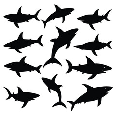 Set of Bronze Whaler Shark animal black silhouettes vector on white background
