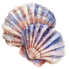 Close-up of a seashell with intricate patterns and a watercolor-like texture, transparent background. 