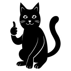 black and white cat