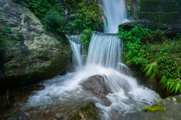 Paglajhora waterfall , famous waterfall in monsoon, at Kurseong, Himalayan mountains of Darjeeling, West Bengal, India. Origin of Mahananda River flowing through Mahananda Wildlife Sanctuary.