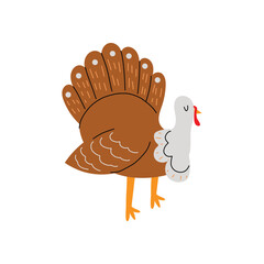 Cute vector turkey. Turkey in the hand drawn style. Domestic bird. Farm animal. White isolated background.