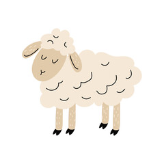 Cute vector sheep. Sheep in the hand drawn style. Farm animal. White isolated background.