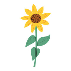 Sunflower. Vector illustration in flat style. White isolated background.