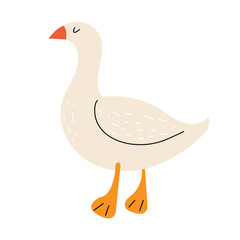 WebCute vector goose. Goose in the hand drawn style. Domestic bird. Farm animal. White isolated background.