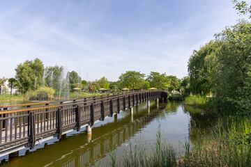 Fototapeta premium Bridge over pond in Botanical garden in Vienna, Austria