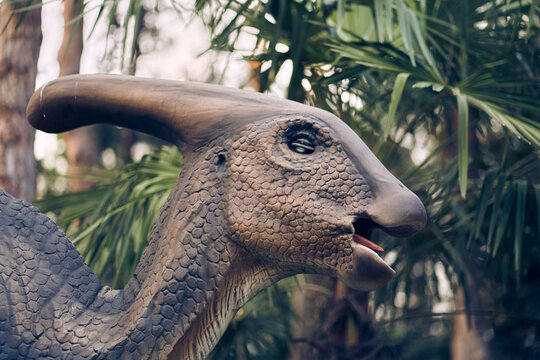 Dinosaur head close-up in the park. A giant parasaurolophus on display in the park on a sunny summer day with space to copy. High quality photo