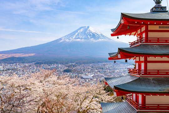 Arakurayama Sengen Park with Japanese Cherry blossoms, Sakura, in front of the city of Fujiyoshida at mount Fuji