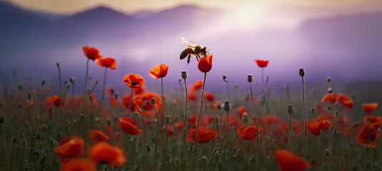 Obraz premium A bee is flying over a field of vibrant red flowers, gathering nectar and pollinating the blooms