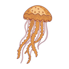 jellyfish