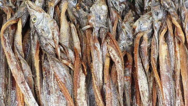 Sea-dried fish displayed in the market, with flies in unhygienic conditions. Close-up dried fish. Churi sutki display.