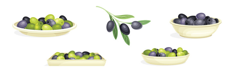 Olives with Branch and Pile in Bowl Vector Set