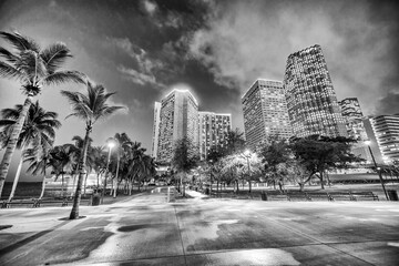 Fototapeta premium Downtown Miami buildings and skyscrapers at sunset from Bayfront Park