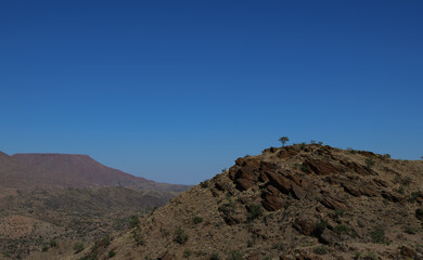 wilderness of the Namib desert, Namibia Africa	