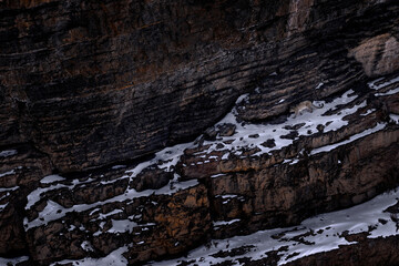 Snow leopard Panthera uncia in the rock habitat, wildlife nature. Snow leopard on the rock in...