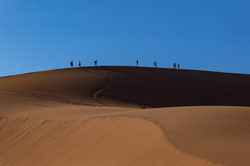 Wilderness and wild landscape of the Namib Desert in Namibia, Africa