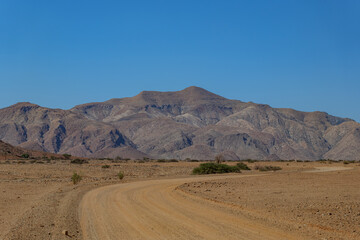 wilderness of the Namib desert, Namibia Africa	