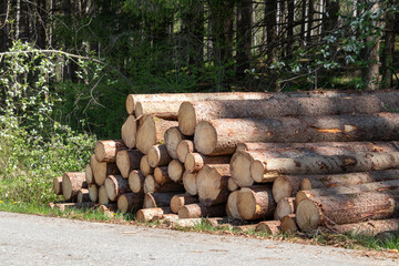 Baumstämme bilden Holzpolter