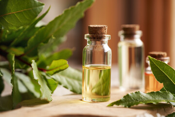 A bottle of aromatherapy essential oil with fresh bay leaf