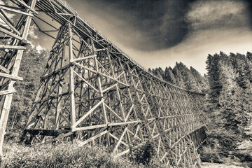 View of restored historic railroad bridge Kinsol Trestle (Koksilah River Trestle) made of wooden...