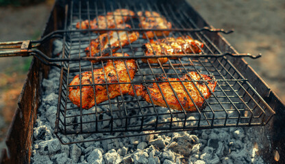 Pieces of meat are grilled on grill over campfire. Picnic, rest.