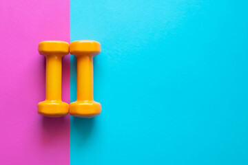 Two dumbbells for sport on the pink blue background.