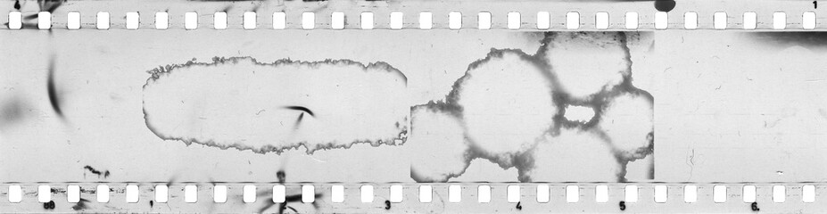 Damaged an old celluloid film strip with rough dust, scratches and stains
