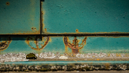 von blumen insekten und wolken