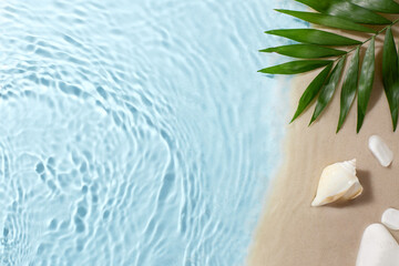 A seashell and palm leaf on a sandy beach with gentle water ripples, evoking a serene tropical...