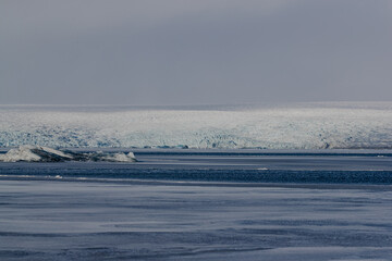 Vast icy plains under a grey sky