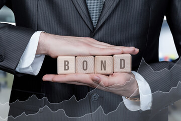 Concept of protection of investment in domestic bonds.