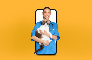 A cheerful veterinarian in blue scrubs holds a fluffy cat while appearing through a smartphone...