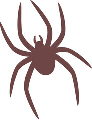 spider on a white background