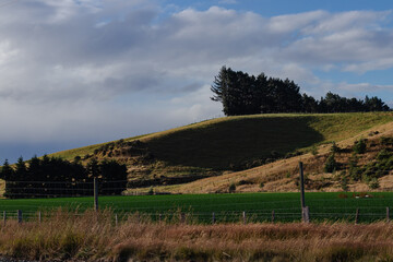 Rolling Hills with Shadowed Slopes and Green Fields New Zealand No People afternoon outside