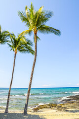 Strand, K&uuml;ste von Hawaii, Insel Kauai 