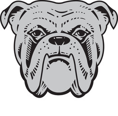 illustration of a cartoon dog