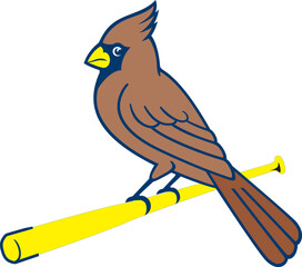 bird on a branch